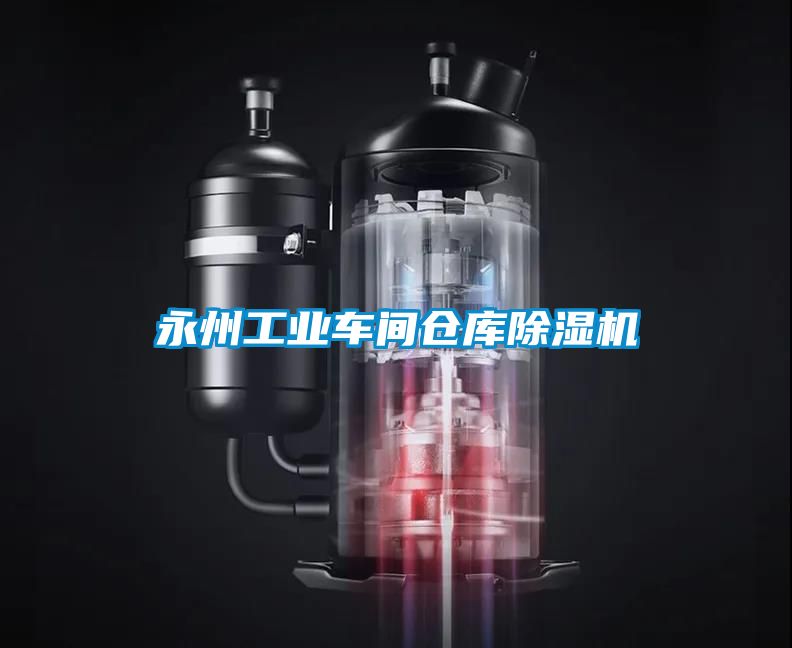 永州工业车间仓库香蕉视频国产APP下载机