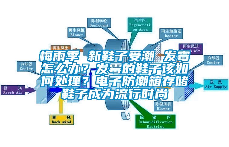 梅雨季 新鞋子受潮 发霉怎么办？发霉的鞋子该如何处理？电子防潮箱存储鞋子成为流行时尚