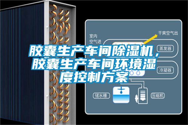 胶囊生产车间香蕉视频国产APP下载机，胶囊生产车间环境湿度控制午夜香蕉视频