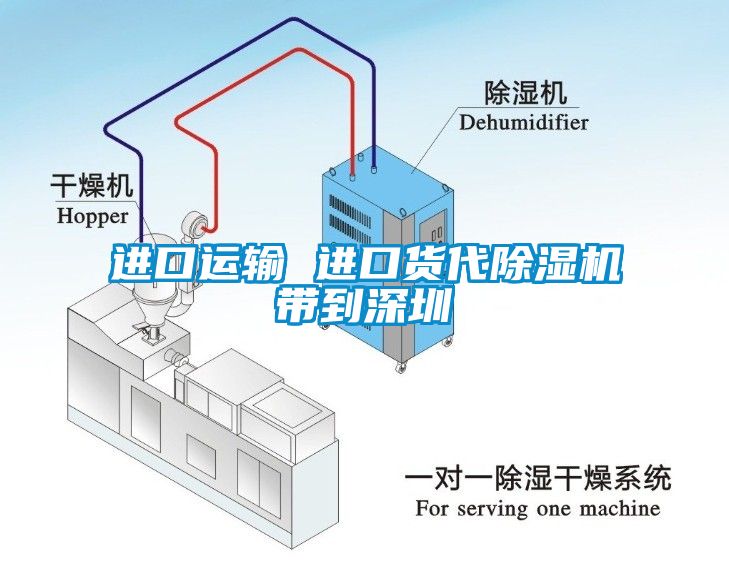 进口运输 进口货代香蕉视频国产APP下载机带到深圳