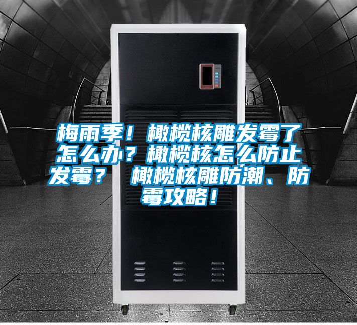 梅雨季！橄榄核雕发霉了怎么办？橄榄核怎么防止发霉？ 橄榄核雕防潮、防霉攻略！