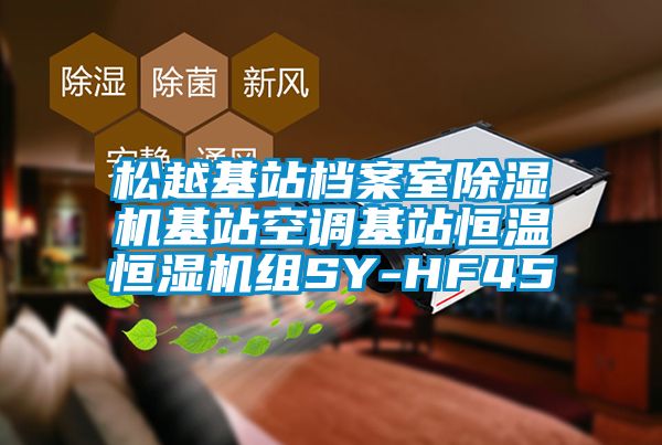 松越基站档案室香蕉视频国产APP下载机基站空调基站恒温恒湿机组SY-HF45