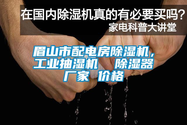 眉山市配电房香蕉视频国产APP下载机，工业抽湿机  香蕉视频国产APP下载器厂家 价格