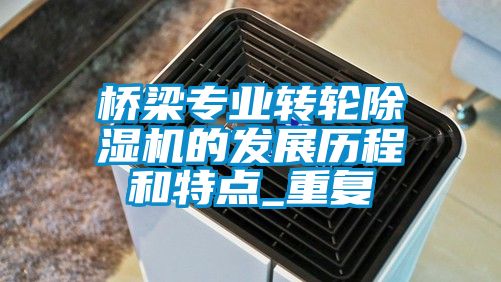 桥梁专业转轮香蕉视频国产APP下载机的发展历程和特点_重复