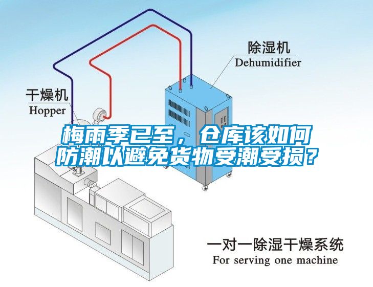 梅雨季已至，仓库该如何防潮以避免货物受潮受损？