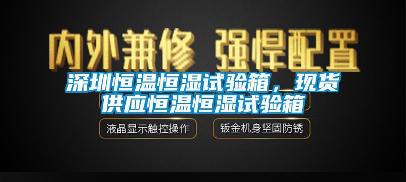 深圳恒温恒湿试验箱，现货供应恒温恒湿试验箱