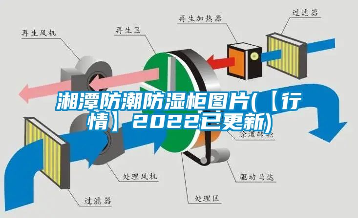 湘潭防潮防湿柜图片(【行情】2022已更新)