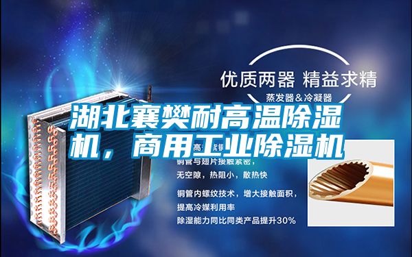 湖北襄樊耐高温香蕉视频国产APP下载机，商用工业香蕉视频国产APP下载机