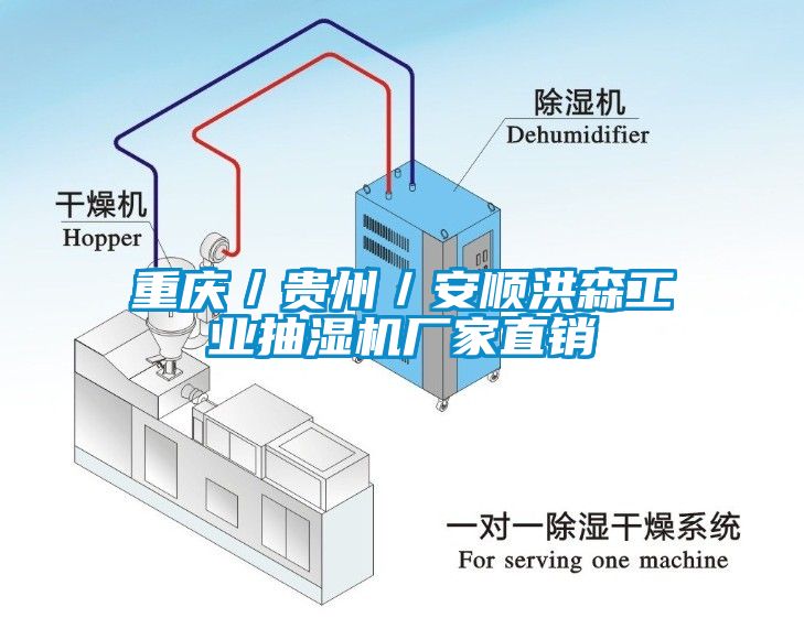 重庆／贵州／安顺洪森工业抽湿机厂家直销