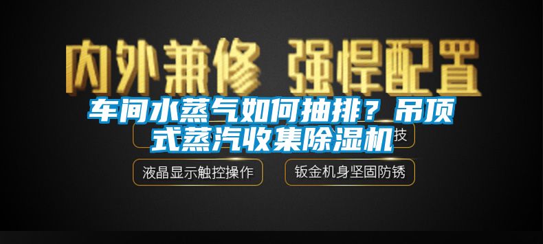 车间水蒸气如何抽排？吊顶式蒸汽收集香蕉视频国产APP下载机