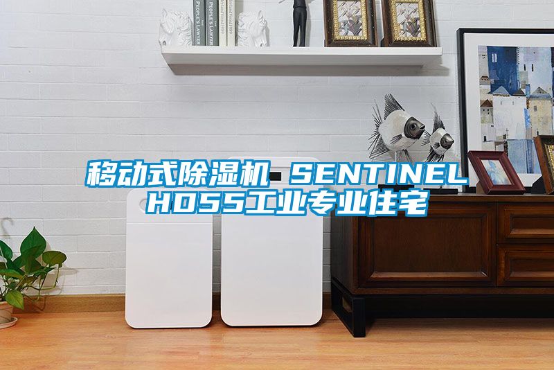 移动式香蕉视频国产APP下载机 SENTINEL HD55工业专业住宅