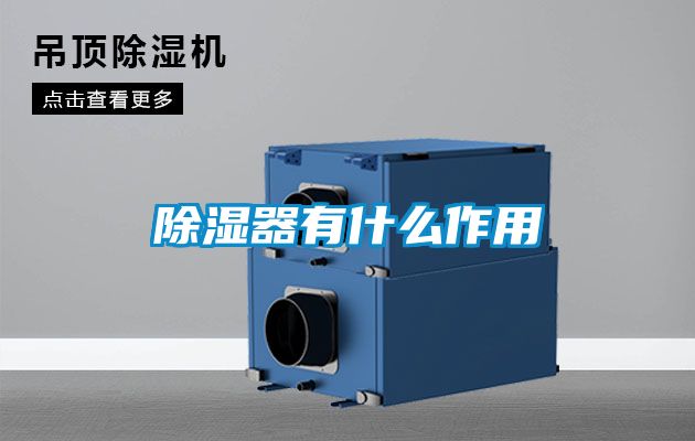 香蕉视频国产APP下载器有什么作用