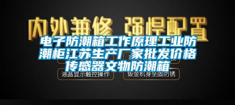 电子防潮箱工作原理工业防潮柜江苏生产厂家批发价格传感器文物防潮箱