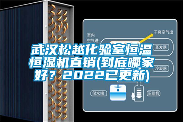 武汉松越化验室恒温恒湿机直销(到底哪家好？2022已更新)