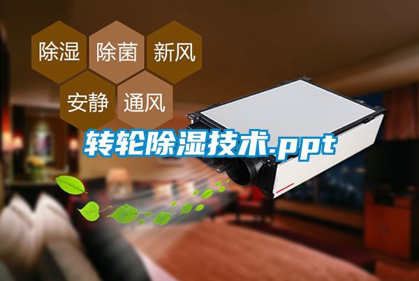 转轮香蕉视频国产APP下载技术.ppt