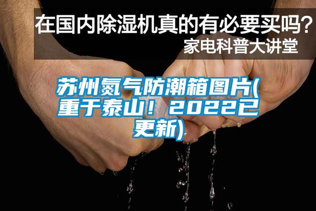 苏州氮气防潮箱图片(重于泰山！2022已更新)