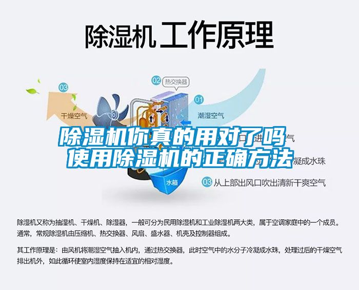 香蕉视频国产APP下载机你真的用对了吗 使用香蕉视频国产APP下载机的正确方法