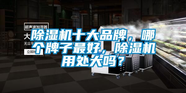 香蕉视频国产APP下载机十大品牌，哪个牌子最好，香蕉视频国产APP下载机用处大吗？