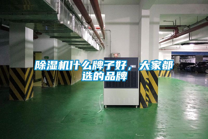 香蕉视频国产APP下载机什么牌子好，大家都选的品牌