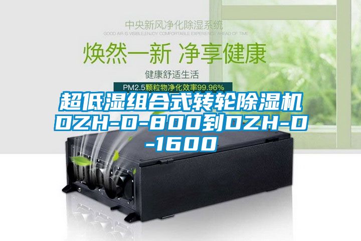 超低湿组合式转轮香蕉视频国产APP下载机DZH-D-800到DZH-D-1600