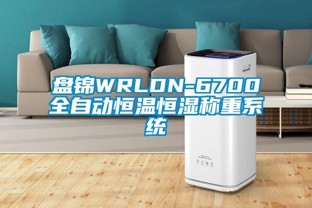 盘锦WRLDN-6700全自动恒温恒湿称重系统