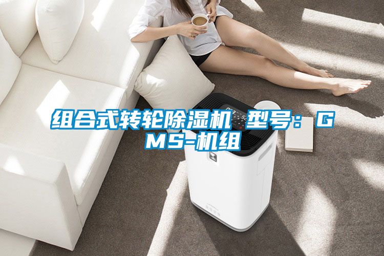 组合式转轮香蕉视频国产APP下载机 型号：GMS-机组