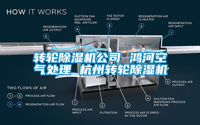 转轮香蕉视频国产APP下载机公司 鸿河空气处理 杭州转轮香蕉视频国产APP下载机