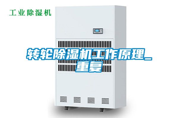 转轮香蕉视频国产APP下载机工作原理_重复