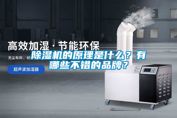 香蕉视频国产APP下载机的原理是什么？有哪些不错的品牌？
