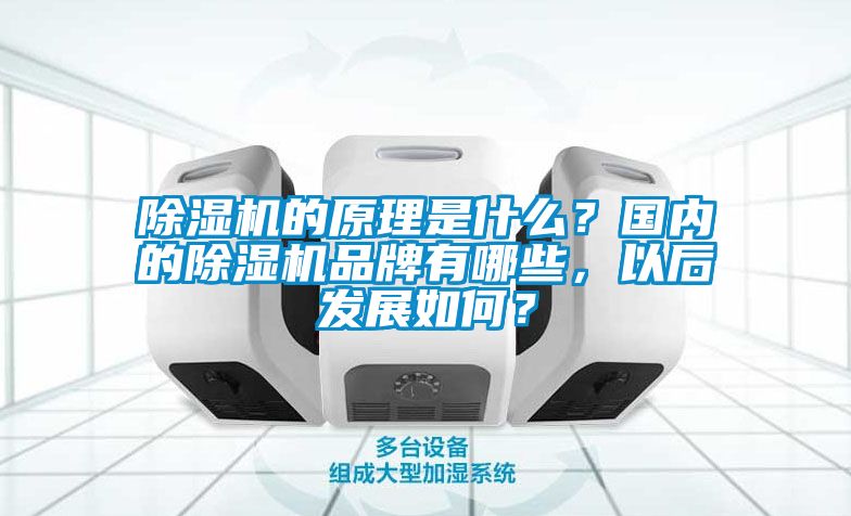 香蕉视频国产APP下载机的原理是什么？国内的香蕉视频国产APP下载机品牌有哪些，以后发展如何？