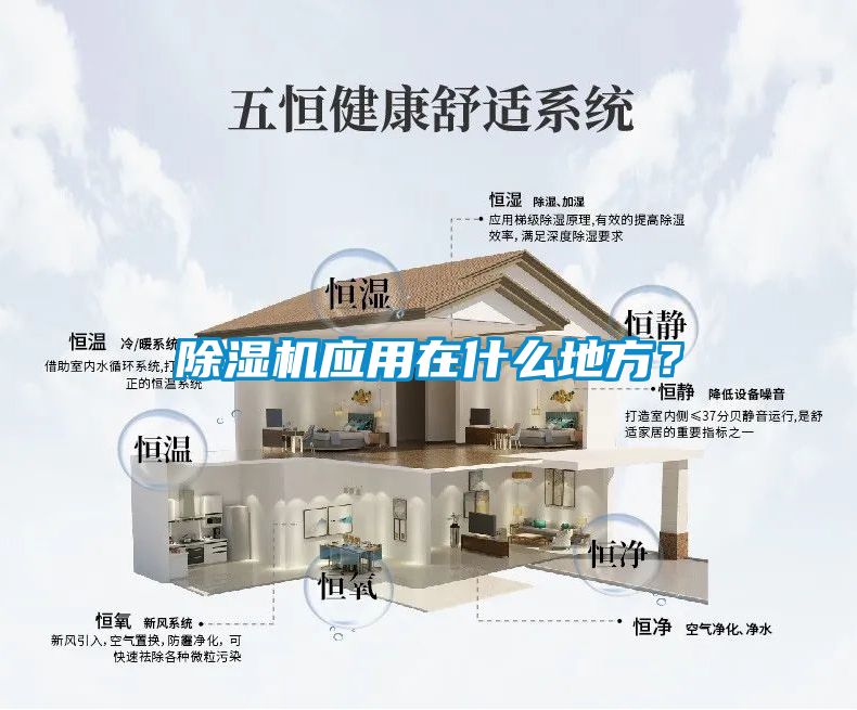 香蕉视频国产APP下载机应用在什么地方？