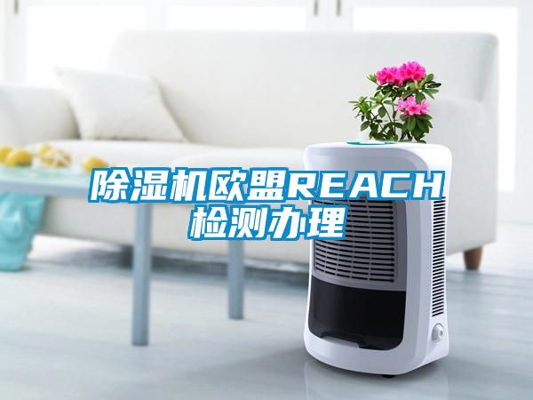 香蕉视频国产APP下载机欧盟REACH检测办理