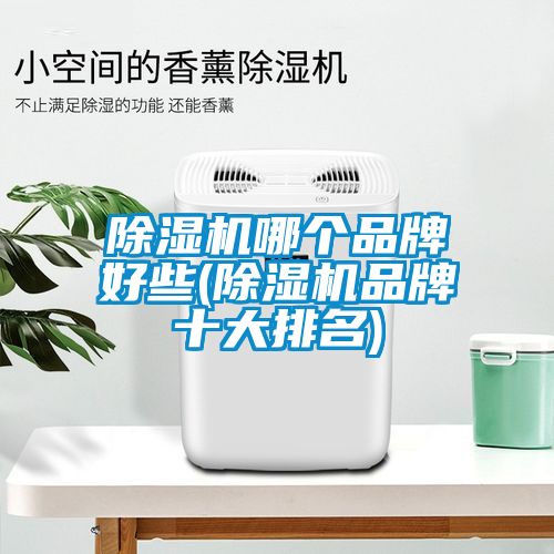 香蕉视频国产APP下载机哪个品牌好些(香蕉视频国产APP下载机品牌十大排名)