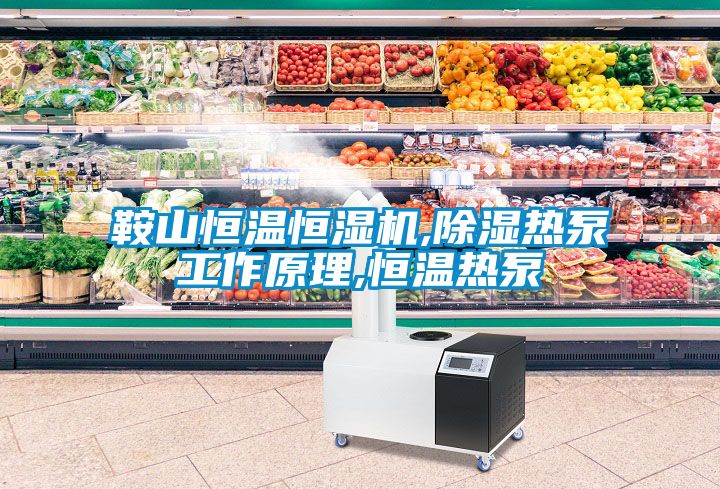 鞍山恒温恒湿机,香蕉视频国产APP下载热泵工作原理,恒温热泵