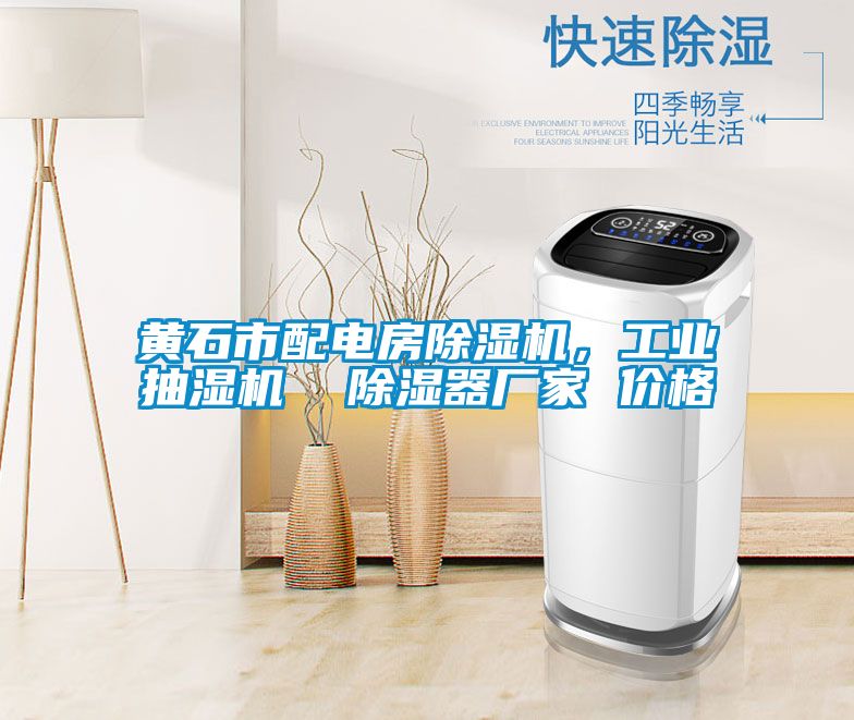 黄石市配电房香蕉视频国产APP下载机，工业抽湿机  香蕉视频国产APP下载器厂家 价格