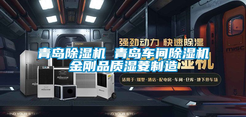 青岛香蕉视频国产APP下载机 青岛车间香蕉视频国产APP下载机金刚品质湿菱制造