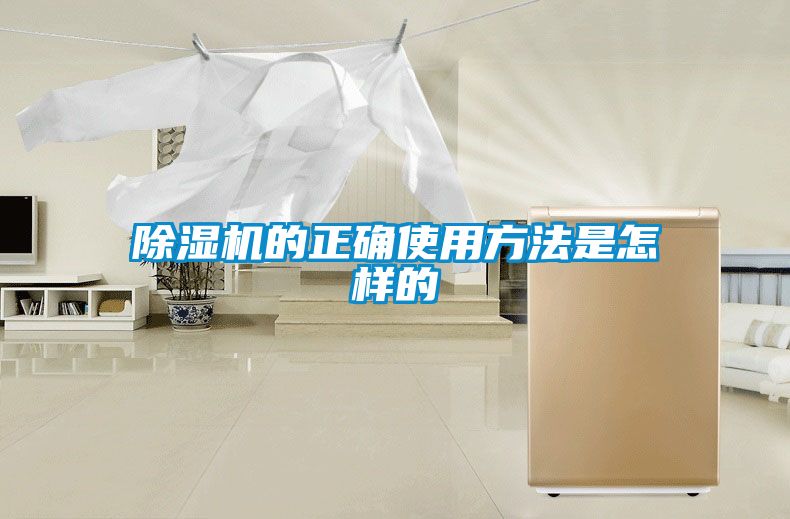 香蕉视频国产APP下载机的正确使用方法是怎样的