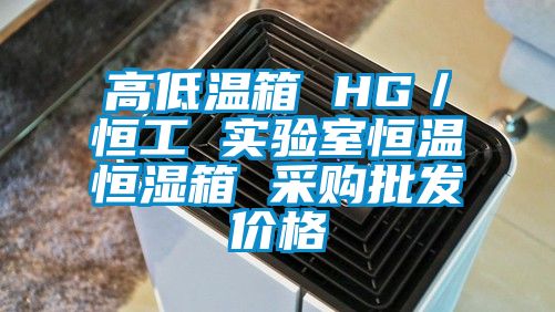 高低温箱 HG／恒工 实验室恒温恒湿箱 采购批发价格