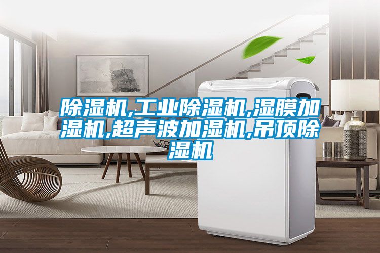 香蕉视频国产APP下载机,工业香蕉视频国产APP下载机,湿膜加湿机,超声波加湿机,吊顶香蕉视频国产APP下载机