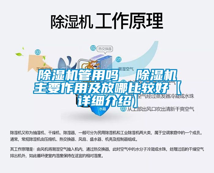 香蕉视频国产APP下载机管用吗  香蕉视频国产APP下载机主要作用及放哪比较好【详细介绍】