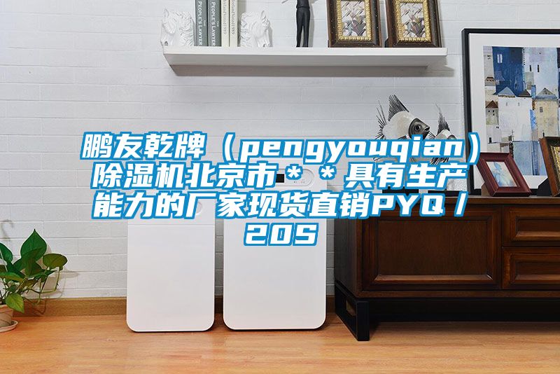 鹏友乾牌（pengyouqian）香蕉视频国产APP下载机北京市＊＊具有生产能力的厂家现货直销PYQ／20S