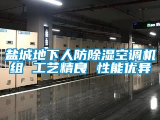 行业下载香蕉直播视频观看盐城地下人防香蕉视频国产APP下载空调机组 工艺精良 性能优异