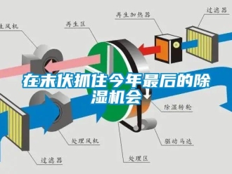 行业下载香蕉直播视频观看在末伏抓住今年最后的香蕉视频国产APP下载机会