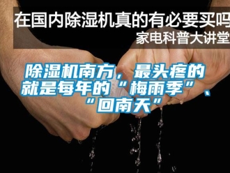 行业下载香蕉直播视频观看香蕉视频国产APP下载机南方，最头疼的就是每年的“梅雨季”、“回南天”