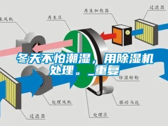 行业下载香蕉直播视频观看冬天不怕潮湿，用香蕉视频国产APP下载机处理。_重复