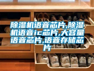 行业下载香蕉直播视频观看香蕉视频国产APP下载机语音芯片,香蕉视频国产APP下载机语音ic芯片,大容量语音芯片,语音存储芯片