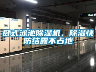 行业下载香蕉直播视频观看卧式泳池香蕉视频国产APP下载机，香蕉视频国产APP下载快防结露不占地