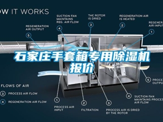 行业下载香蕉直播视频观看石家庄手套箱专用香蕉视频国产APP下载机报价