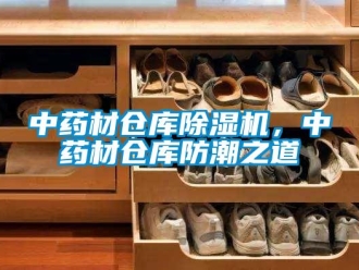 知识百科中药材仓库香蕉视频国产APP下载机，中药材仓库防潮之道