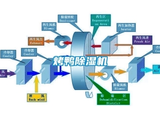 行业下载香蕉直播视频观看烤鸭香蕉视频国产APP下载机